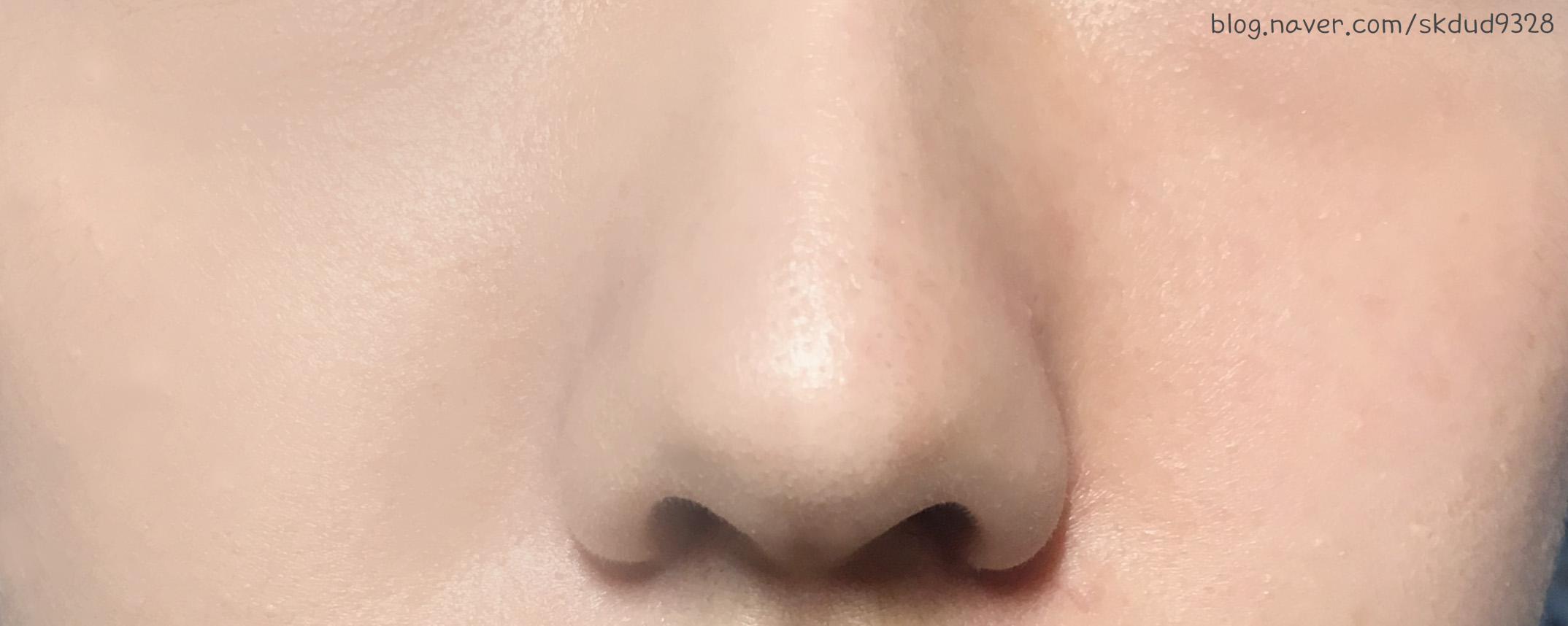 리리코스 마린에너지 베일커버쿠션, 인생템, 쿠션추천, 보정필터쿠션 
