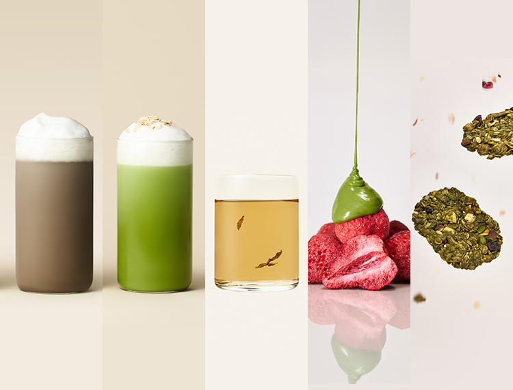 새로나온 TEA&FOOD