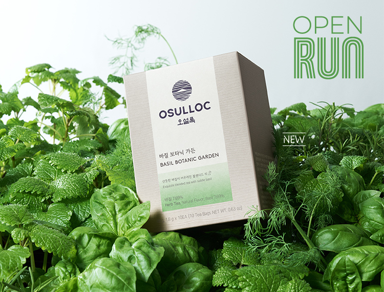 오픈런 [오설록]