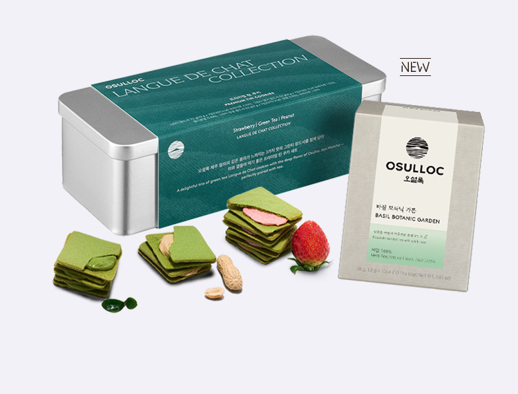 오설록 새해 신상 위크