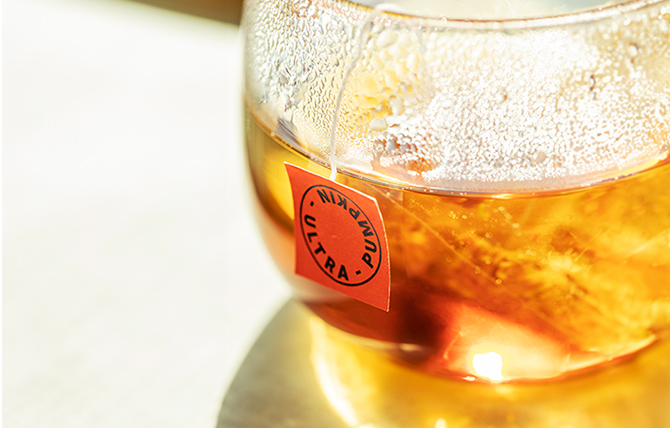 새해 건강한 습관, 최대 31%OFF