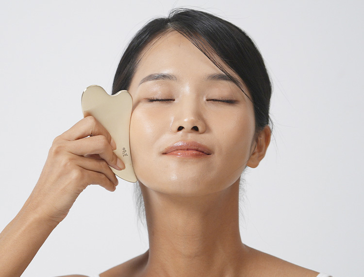 아름다운 라인, 놋담