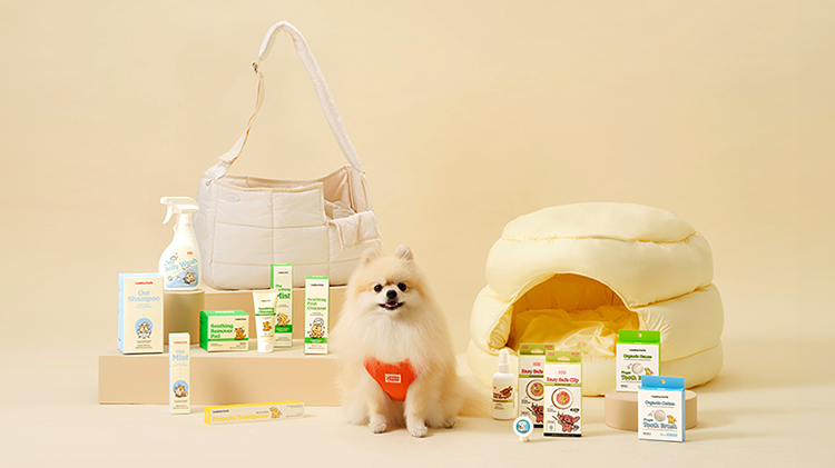 래핑찰리, 전체 20%OFF