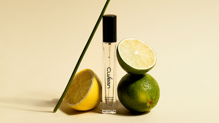 🩷입점기념🩷 향기가 머무는 큐리안