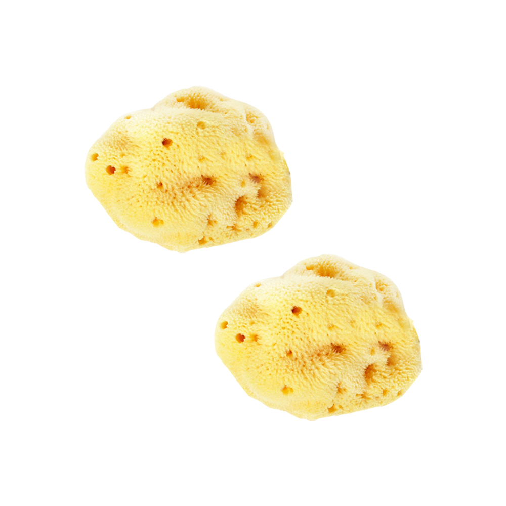 라그랑 천연해면 세안용 라지 2개 7~8cm