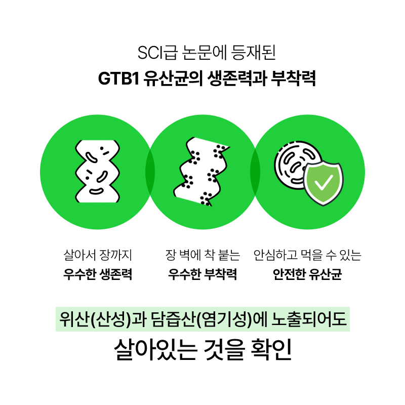 녹차에서 온 유산균(60일) (원산지:상세설명참조) 상품 이미지 3