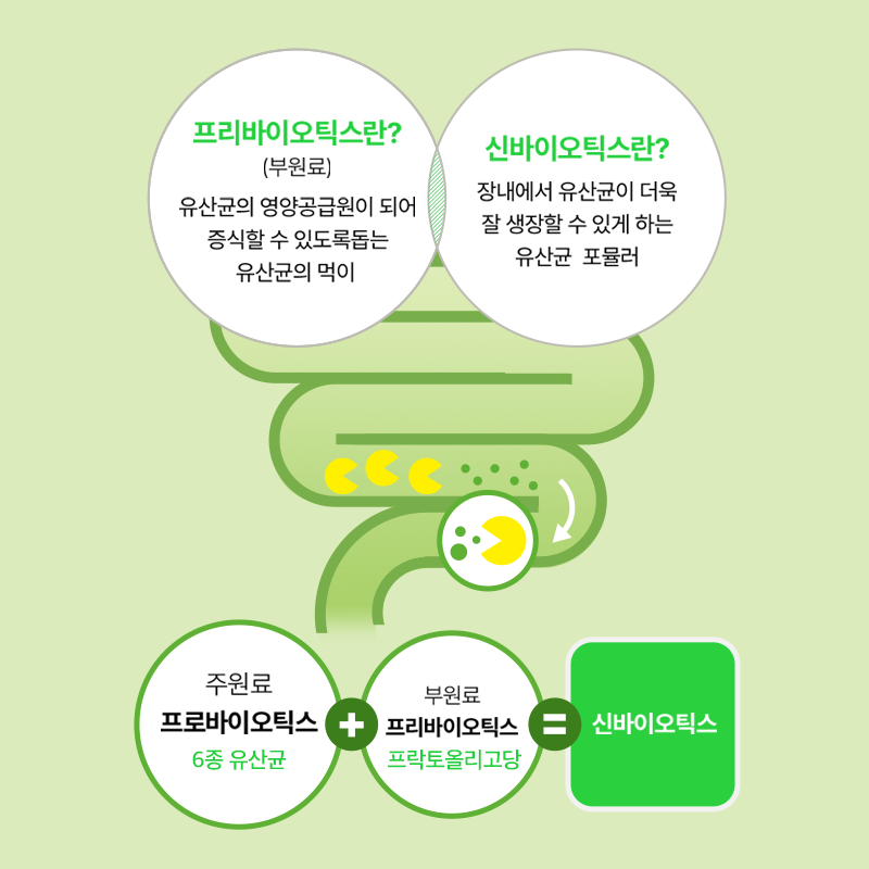 녹차에서 온 유산균(60일) (원산지:상세설명참조) 상품 이미지 6