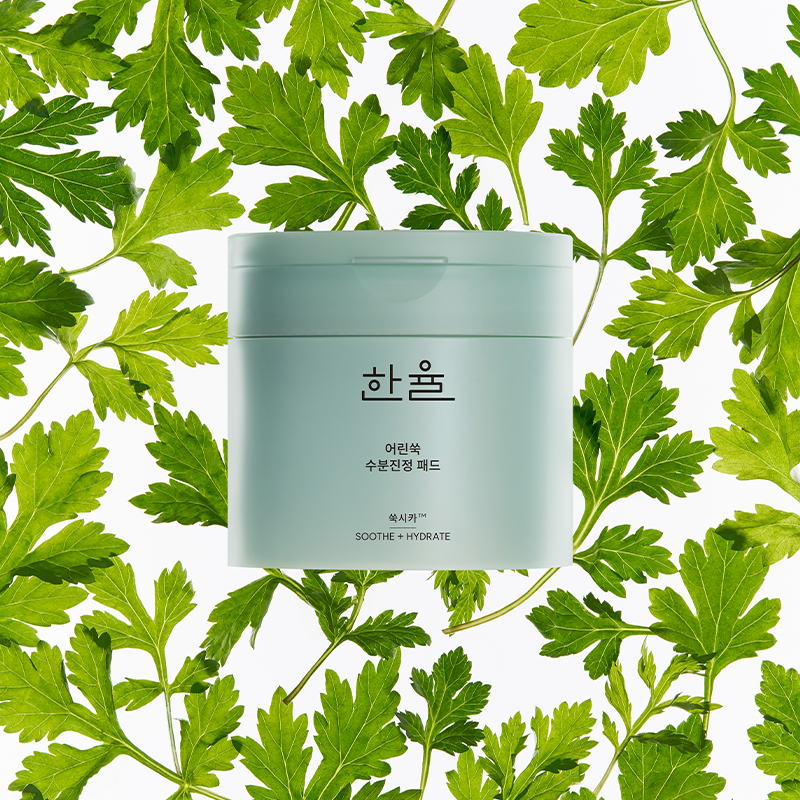 [2EA] 어린쑥 수분진정 패드 기획세트 (170ml/60+10매) 상품 이미지 4