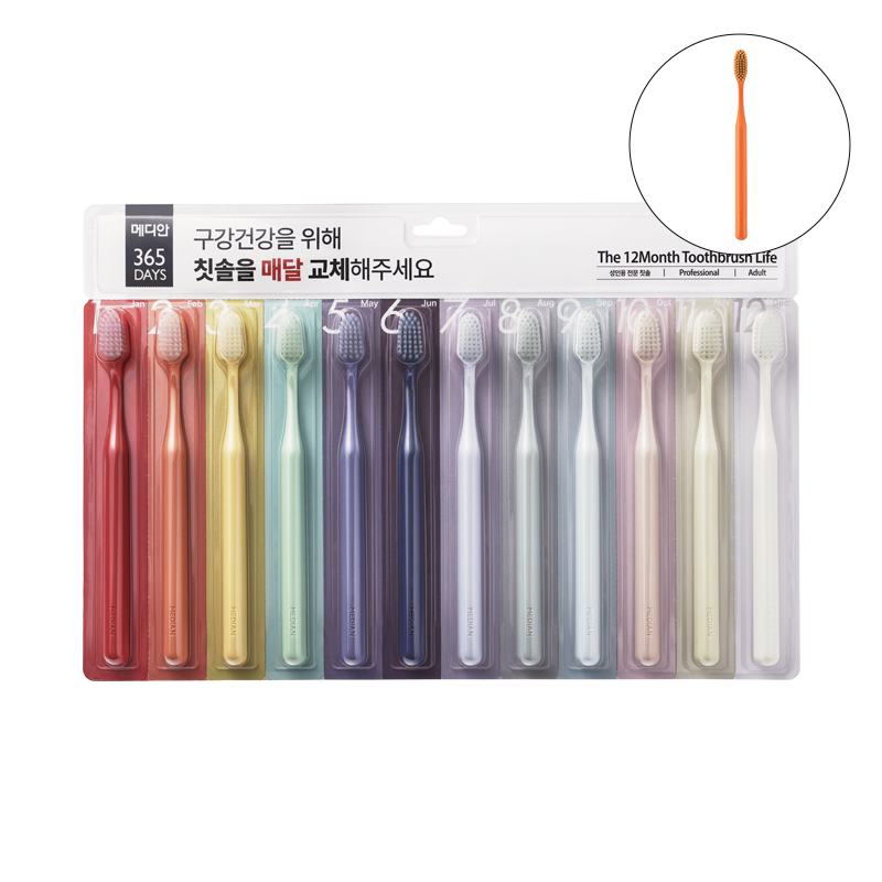 성인용 365DAYS 칫솔 12입