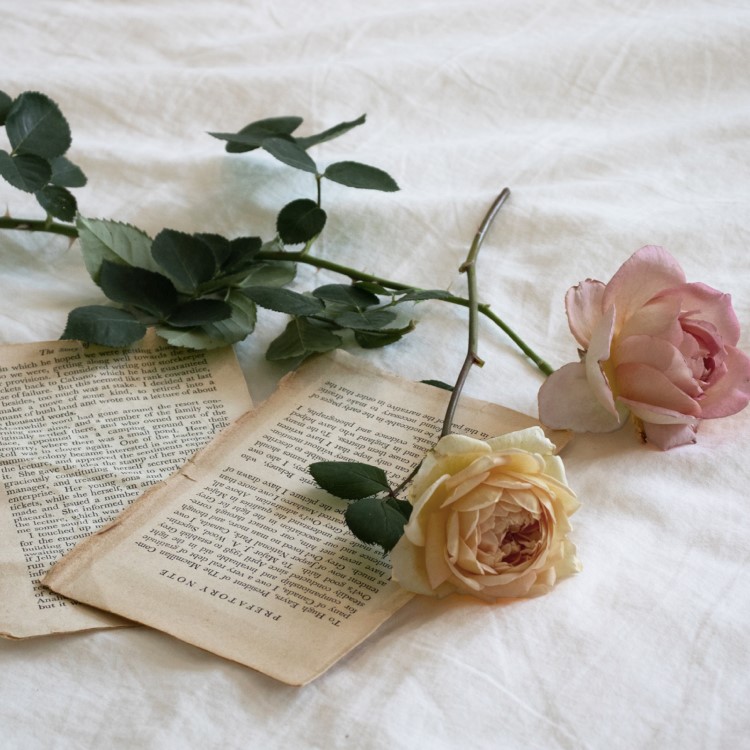 "Inspire your every moment"

당신의 일상 속 감각을 깨워줄 
자연 그대로의 향기 가득, 플로레비다