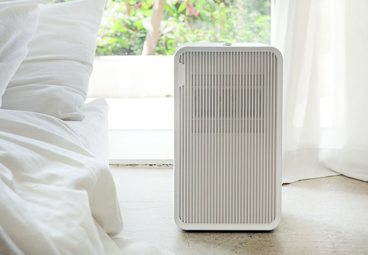 감성으로 채우는 공간, 보아르